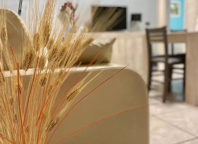 Blu Bay - Vista Mare A 50m Dal Mare *