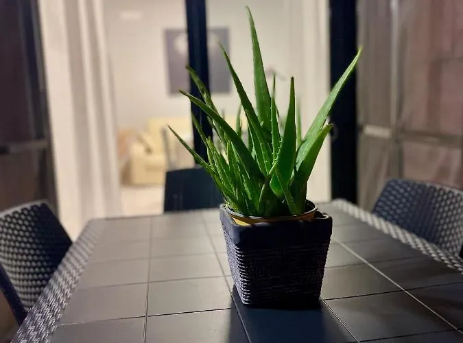 Blu Bay - Vista Mare A 50m Dal Mare * ガリポリ